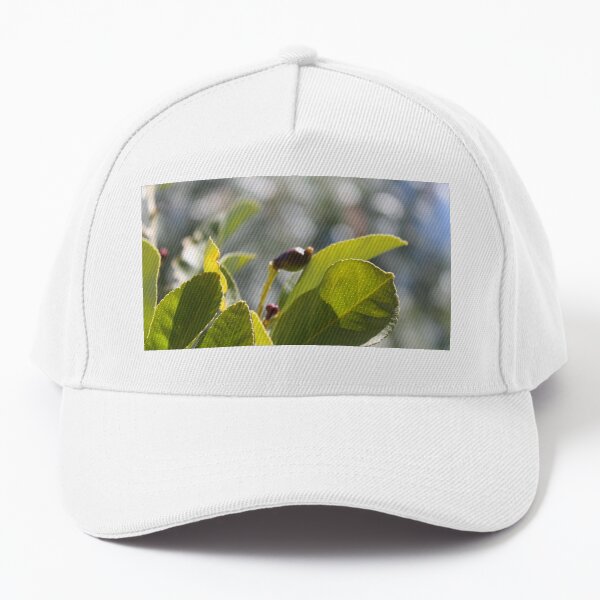 Baby lemon Baseball Cap