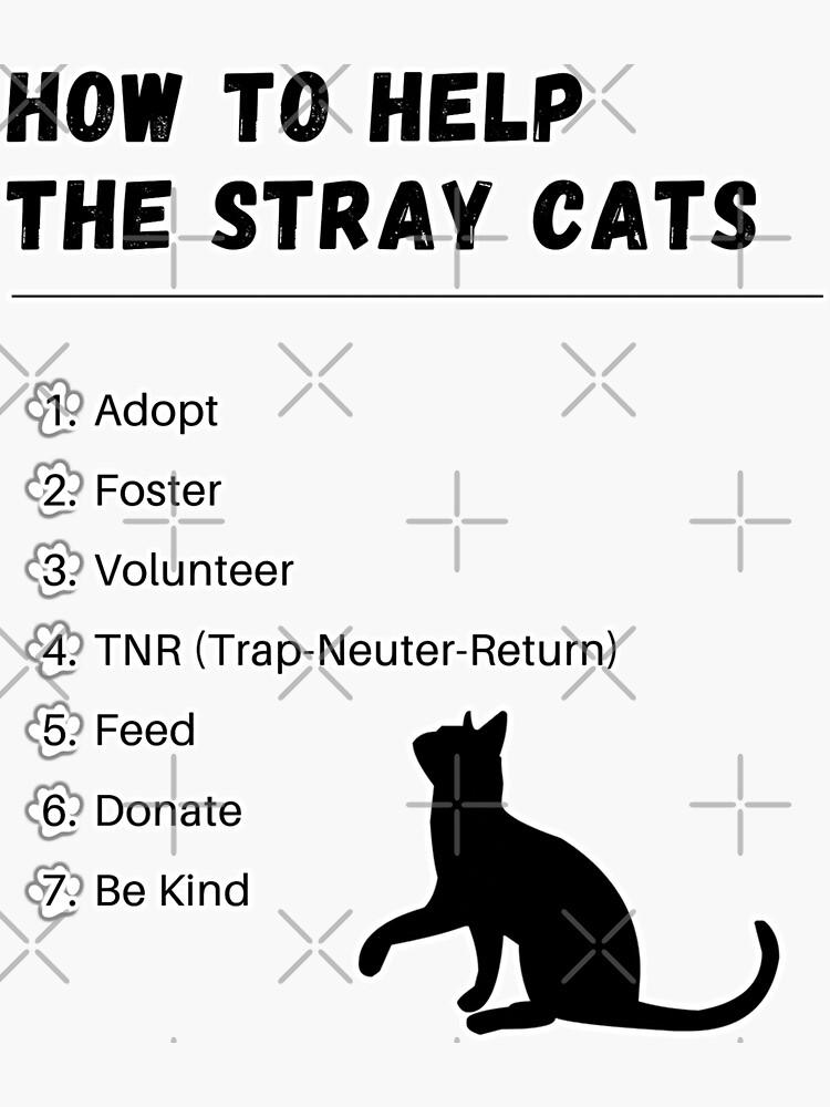 "How to Help the Stray Cats Design" Sticker for Sale by mmij Redbubble