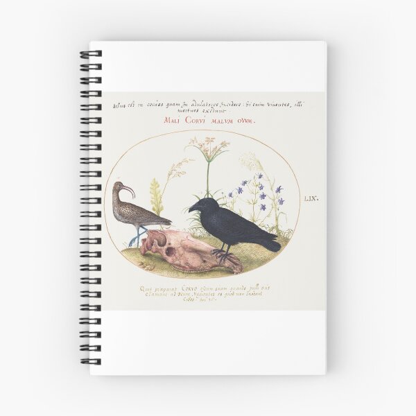 Item preview, Curlew and Crow with Horse Skull designed and sold by AeroPlanet247.