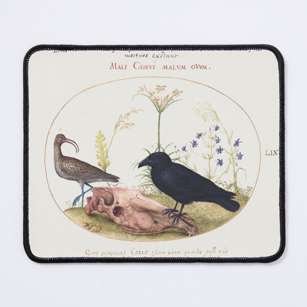 Item preview, Curlew and Crow with Horse Skull designed and sold by AeroPlanet247.