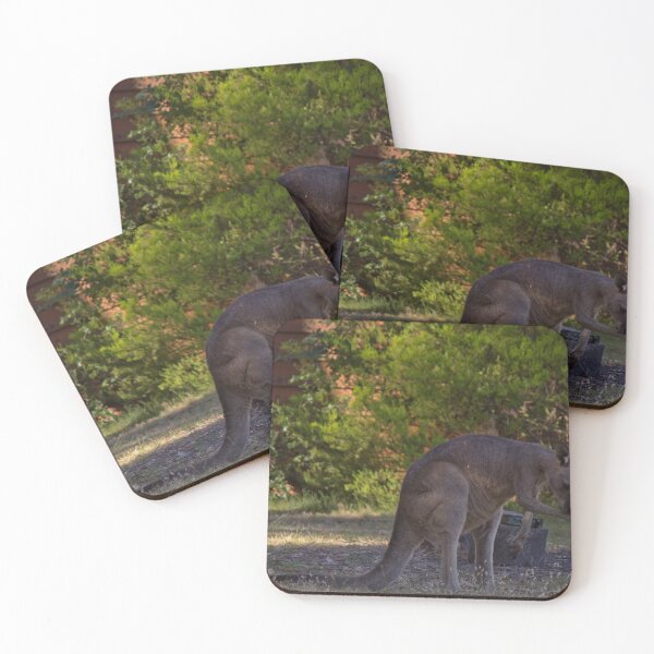 Item preview, Grooming kangaroo  designed and sold by Shirlei  Barnes.