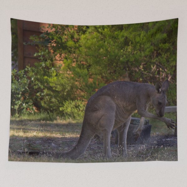 Item preview, Grooming kangaroo  designed and sold by Shirlei  Barnes.