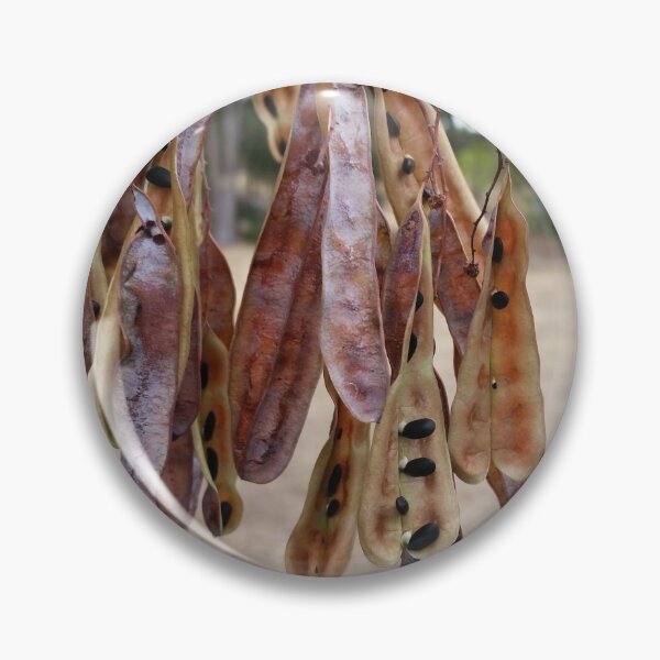 Item preview, Seed pod sunshine wattle designed and sold by Shirlei  Barnes.