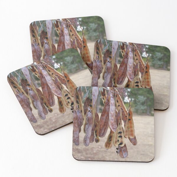 Item preview, Seed pod sunshine wattle designed and sold by Shirlei  Barnes.