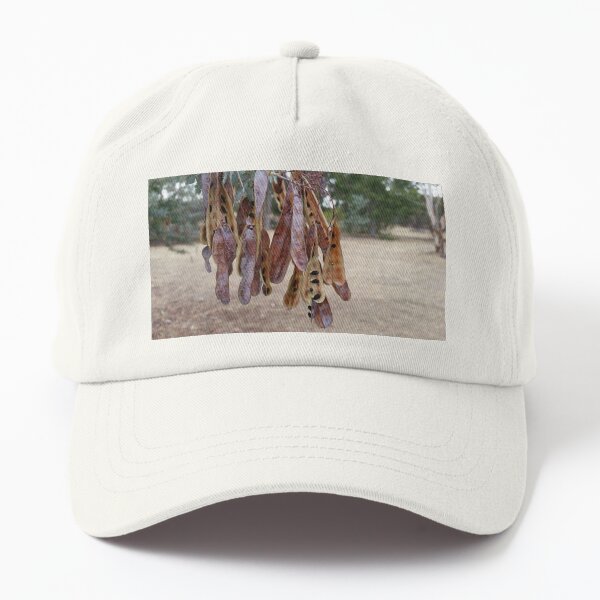 Seed pod sunshine wattle Dad Hat