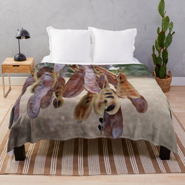 Item preview, Seed pod sunshine wattle designed and sold by Shirlei  Barnes.