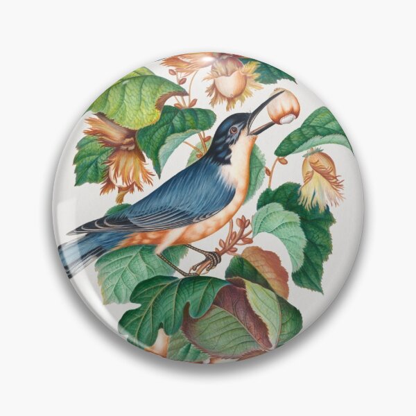 Item preview, James Bolton Nuthatch, Hazel, Oak & Bramble from 1768 designed and sold by Tasmanian Viking.