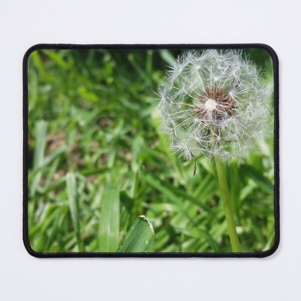 Item preview, dandelion puff designed and sold by Shirlei Barnes.