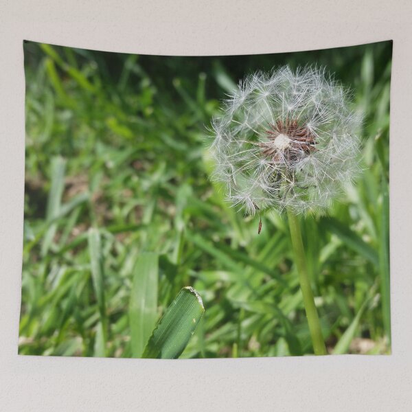 Item preview, dandelion puff designed and sold by Shirlei  Barnes.
