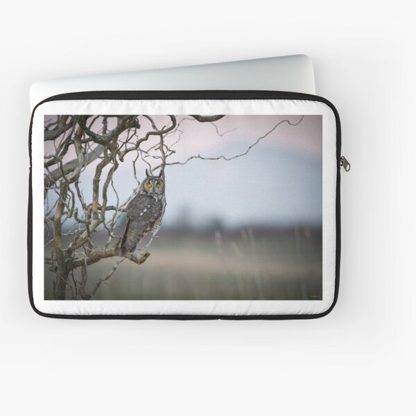 Hunting Imminent -- Long-eared Owl Laptop Sleeve