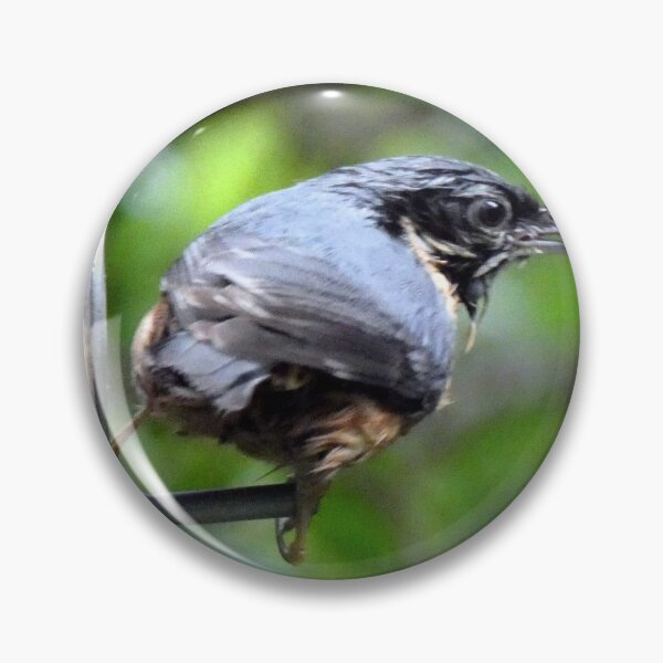 Item preview, nuthatch designed and sold by KathleenDawson.