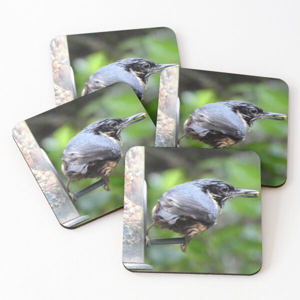 Item preview, nuthatch designed and sold by KathleenDawson.