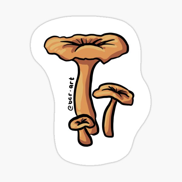 Jack O Lantern Mushroom Gifts Merchandise For Sale Redbubble
