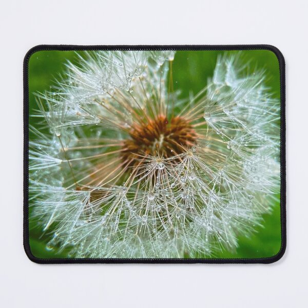 Item preview, dandelion designed and sold by Julia Kovtunyak.