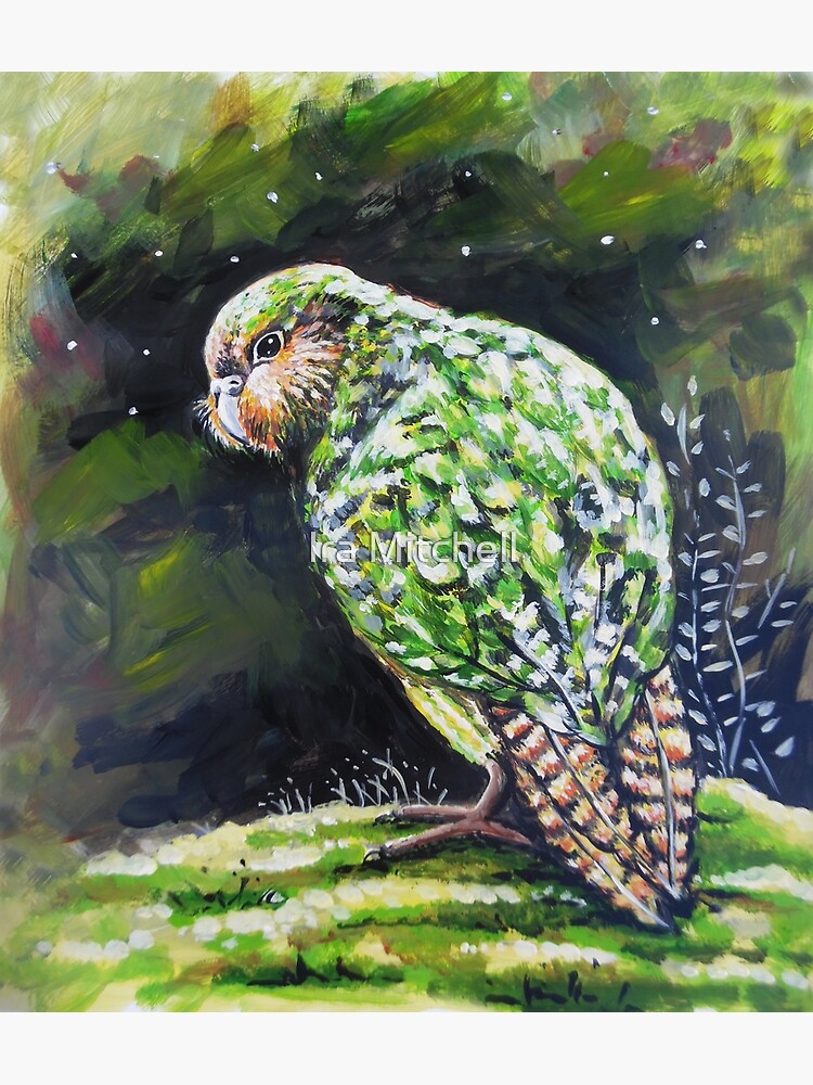 Disover Kakapo Bird by Ira Premium Matte Vertical Poster