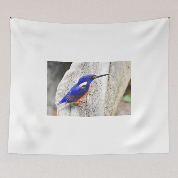 Item preview, Australian Azure Kingfisher ( Ceyx azureus ) designed and sold by Lyle McNamara.
