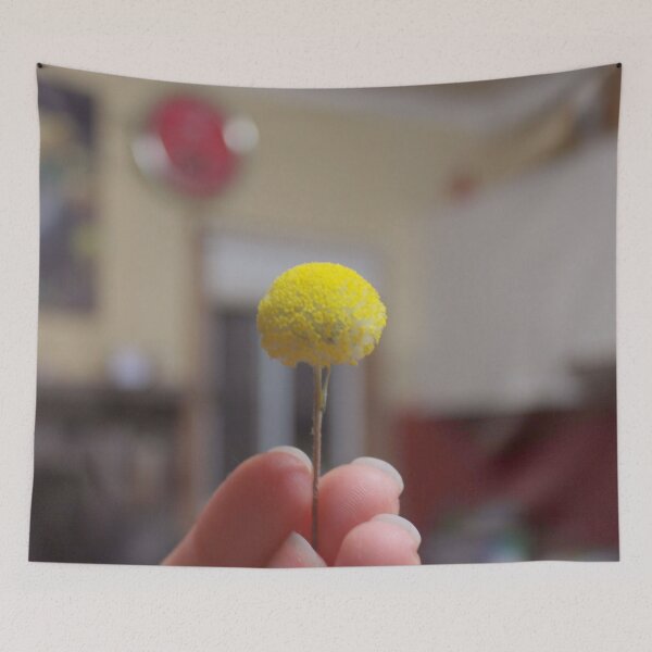 Item preview, Billy Buttons Craspedia globosa  designed and sold by Shirlei  Barnes.