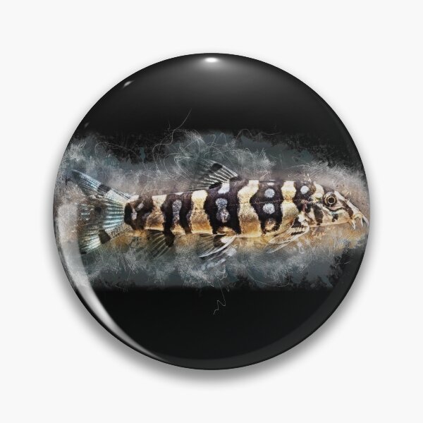 Item preview, Star loach - Botia kubotai designed and sold by AquariumLutter.