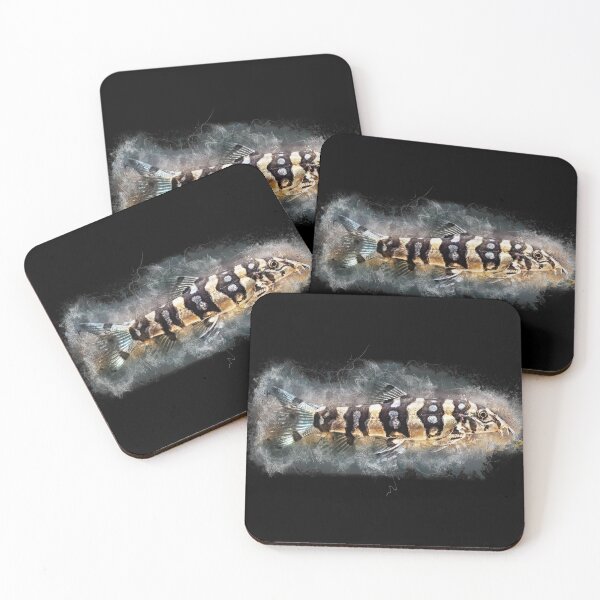 Item preview, Star loach - Botia kubotai designed and sold by AquariumLutter.