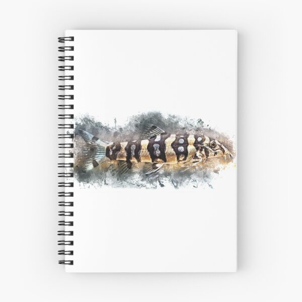 Item preview, Star loach - Botia kubotai designed and sold by AquariumLutter.