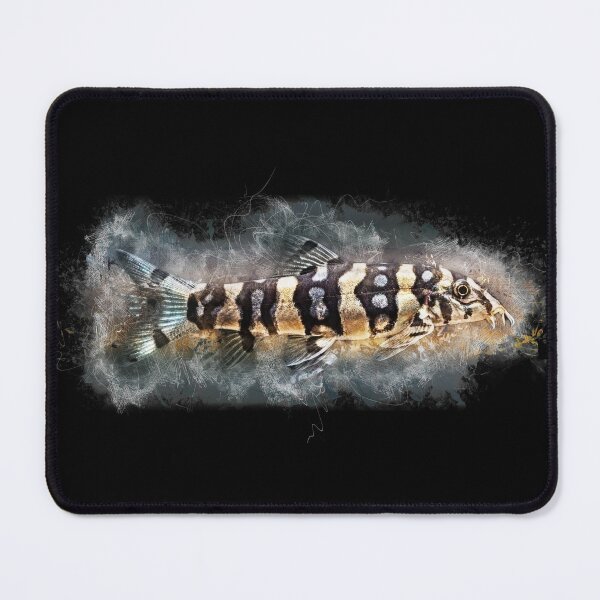 Item preview, Star loach - Botia kubotai designed and sold by AquariumLutter.