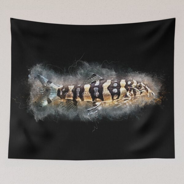 Item preview, Star loach - Botia kubotai designed and sold by AquariumLutter.