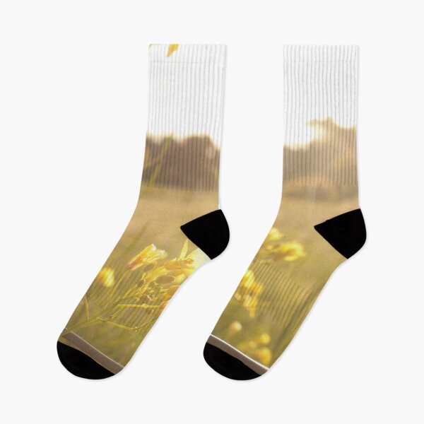 Item preview, Golden sunny day designed and sold by Shirlei  Barnes.