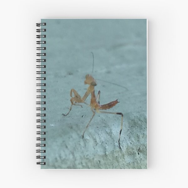 Item preview, Preying Mantis  designed and sold by Rixoppida.