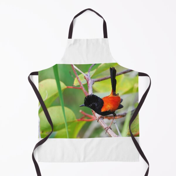 Item preview, Red Backed Fairy Wren ( Malurus melanocephalus ) designed and sold by Lyle McNamara.