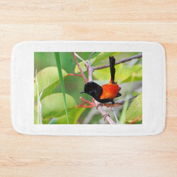Item preview, Red Backed Fairy Wren ( Malurus melanocephalus ) designed and sold by Lyle McNamara.
