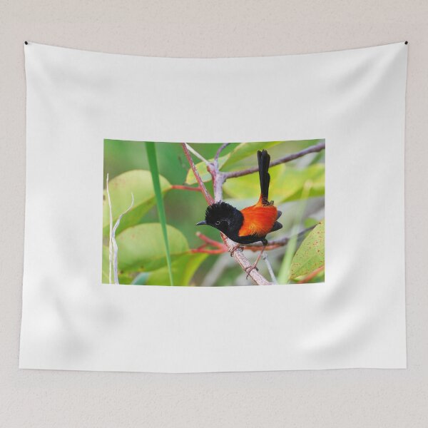 Item preview, Red Backed Fairy Wren ( Malurus melanocephalus ) designed and sold by Lyle McNamara.