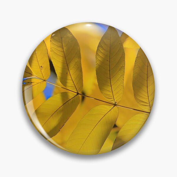 Item preview, The Yellow leaves on the blue sky designed and sold by sphotoseu.