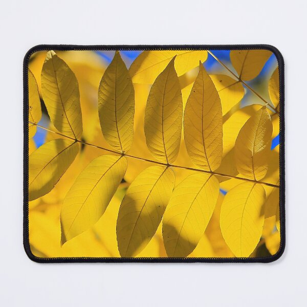 Item preview, The Yellow leaves on the blue sky designed and sold by sphotoseu.