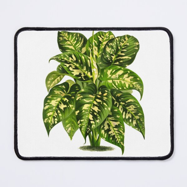 Item preview, Vintage Botanical Plant Illustration - Colocasia (Elephant Ear) designed and sold by Naturalist Prints.