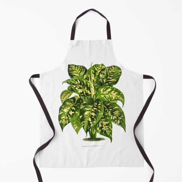 Item preview, Vintage Botanical Plant Illustration - Colocasia (Elephant Ear) designed and sold by Naturalist Prints.