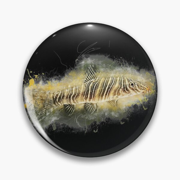 Item preview, Zebra loach - Botia striata designed and sold by AquariumLutter.