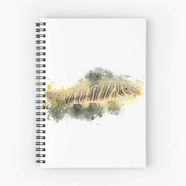 Item preview, Zebra loach - Botia striata designed and sold by AquariumLutter.