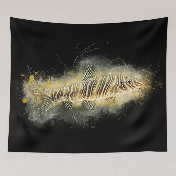 Item preview, Zebra loach - Botia striata designed and sold by AquariumLutter.