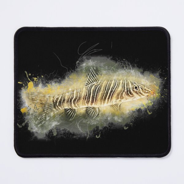 Item preview, Zebra loach - Botia striata designed and sold by AquariumLutter.