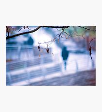 Pedestrian Photographic Print