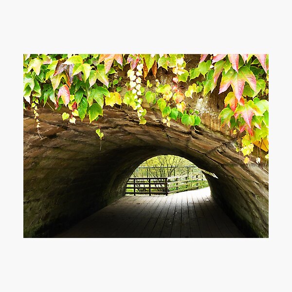 Item preview, Autumn at Golden Acre Park, Leeds designed and sold by Anna Myerscough.