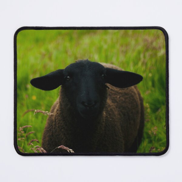 Item preview, Tilly the Pet Lamb designed and sold by thegreendogs.
