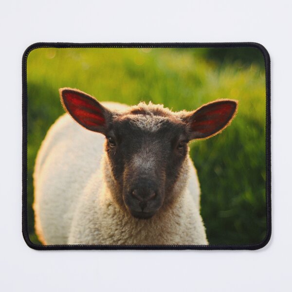 Item preview, Gertie the Pet Lamb designed and sold by thegreendogs.