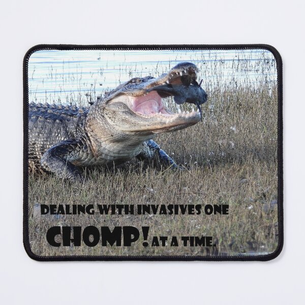 Item preview, Dealing with Invasives designed and sold by Jeffrey Mask.