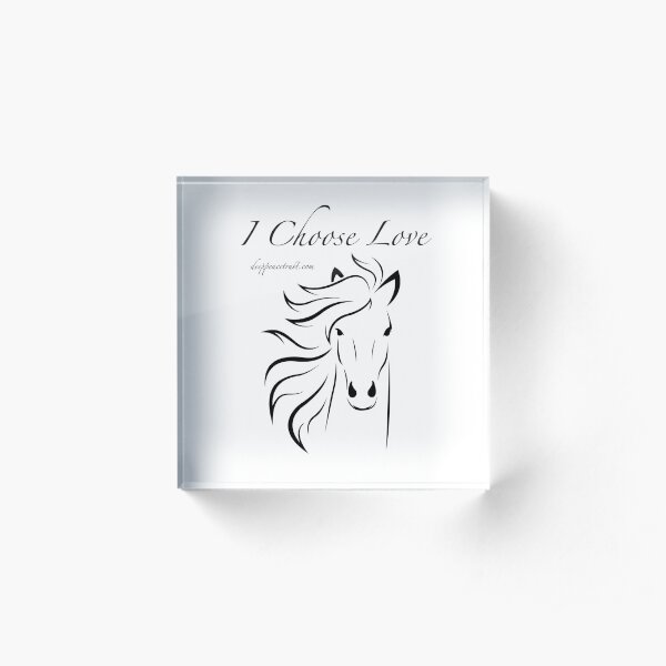 I Choose Love Acrylic Block