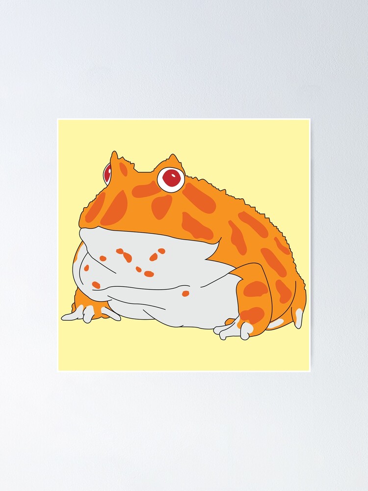 Orange best sale pacman frog