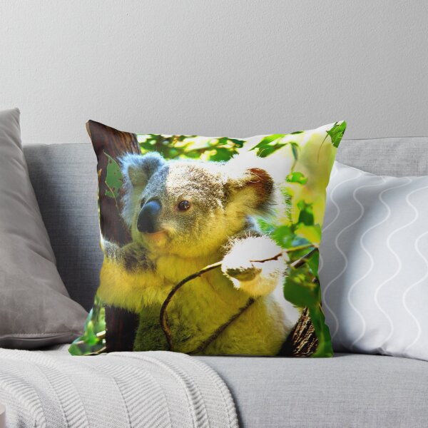 Item preview, koala photo with high resolution quality designed and sold by Allyouneed-2.