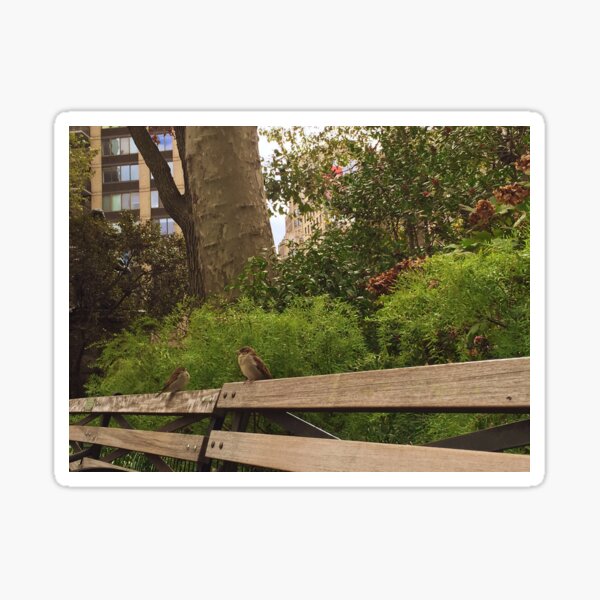 birds of madison square park Sticker