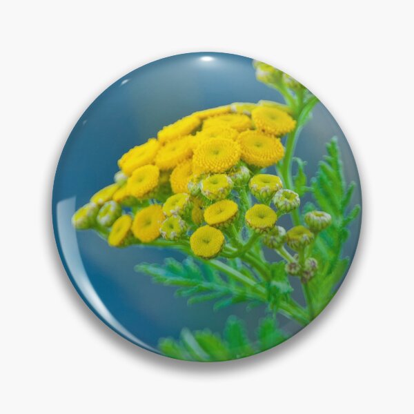 Item preview, Common Tansy designed and sold by Michael Cummings.