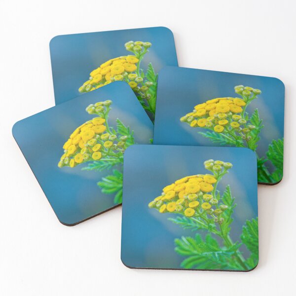 Item preview, Common Tansy designed and sold by Michael Cummings.